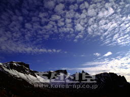 朝鮮名峰への旅」（２２） 豊穣な秋の味覚生む白頭山 トゥルチュク酒やコケモモ、ジゴボウ